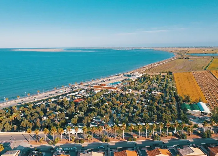 Taiga Delta De L\'Ebre