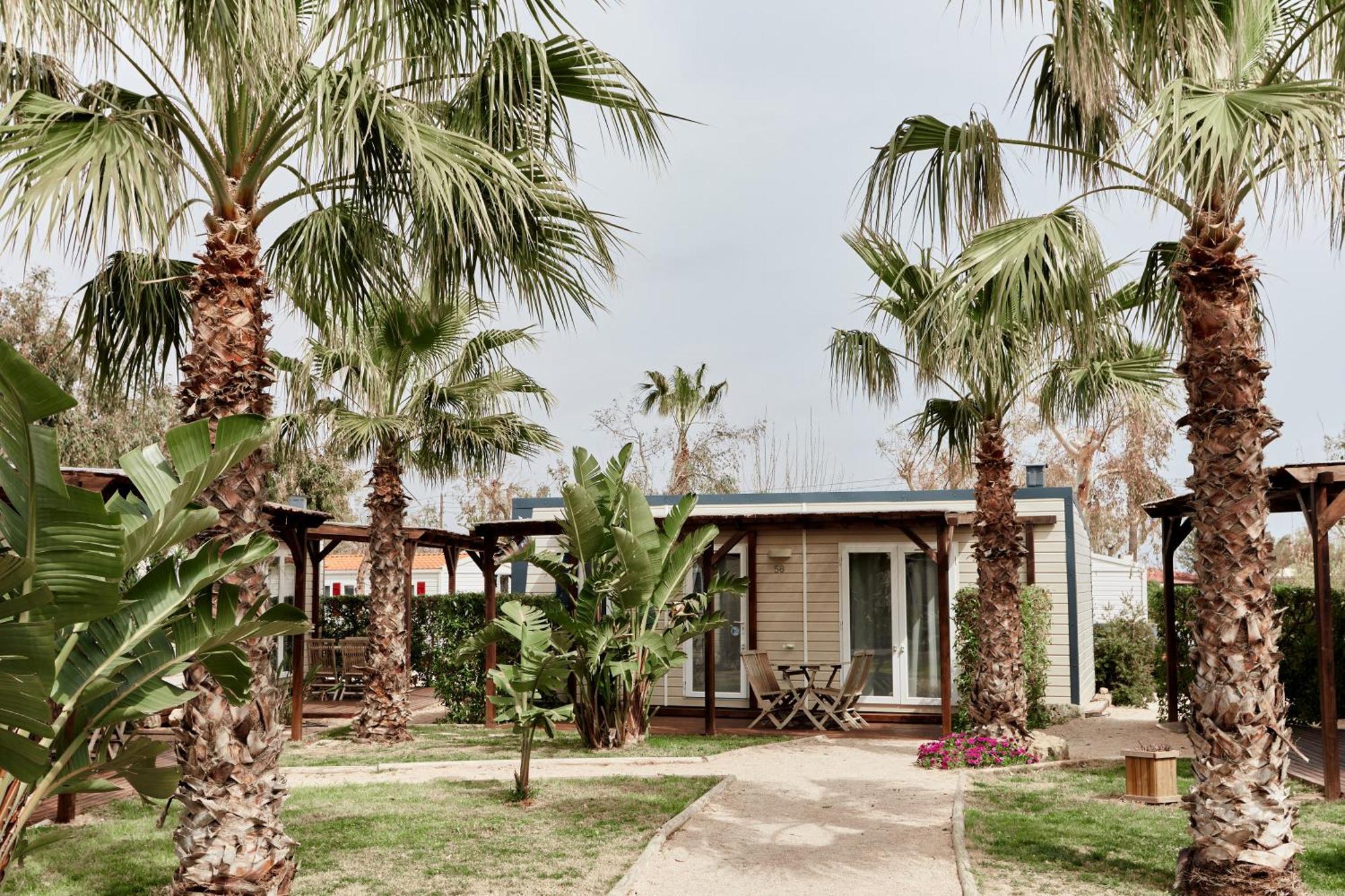 Taiga Delta De L'ebre 4*