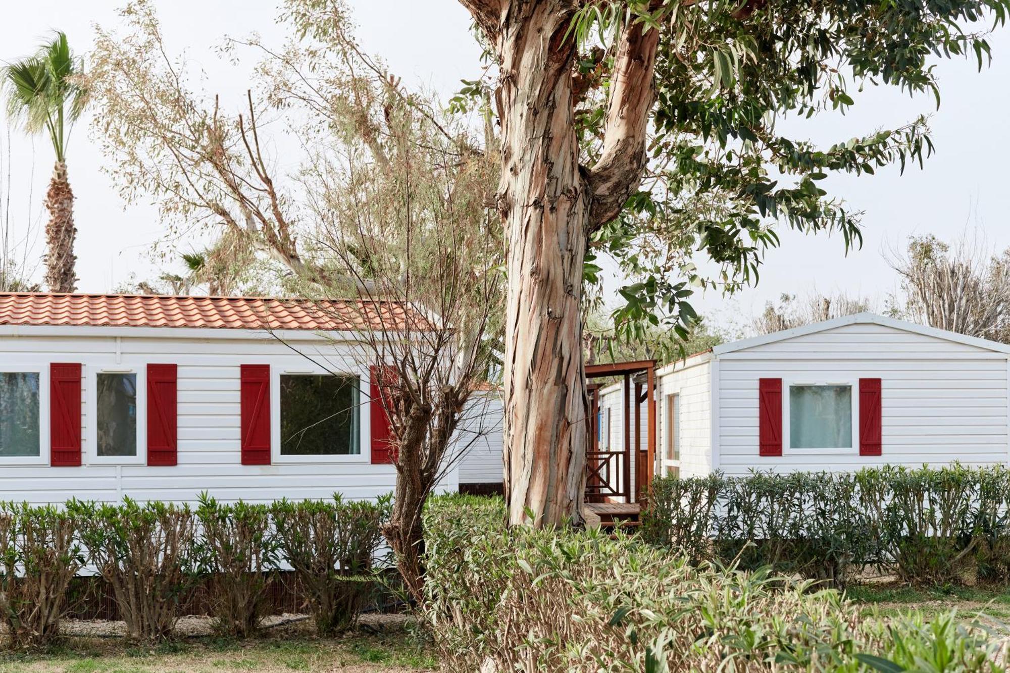 Camping Taiga Delta De L'ebre